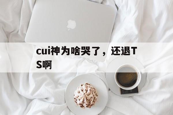 平博体育-cui神为啥哭了，还退TS啊的简单介绍